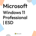 Windows 11 Professional | ESD