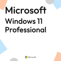 Windows 11 Professional
